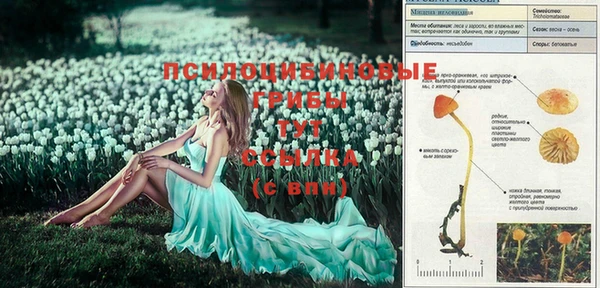 MDMA Алзамай